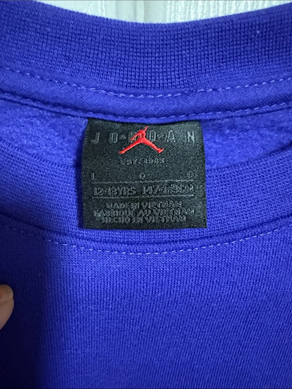 Nike Jordan kids  Royal Purple Crewneck Sweatshirt